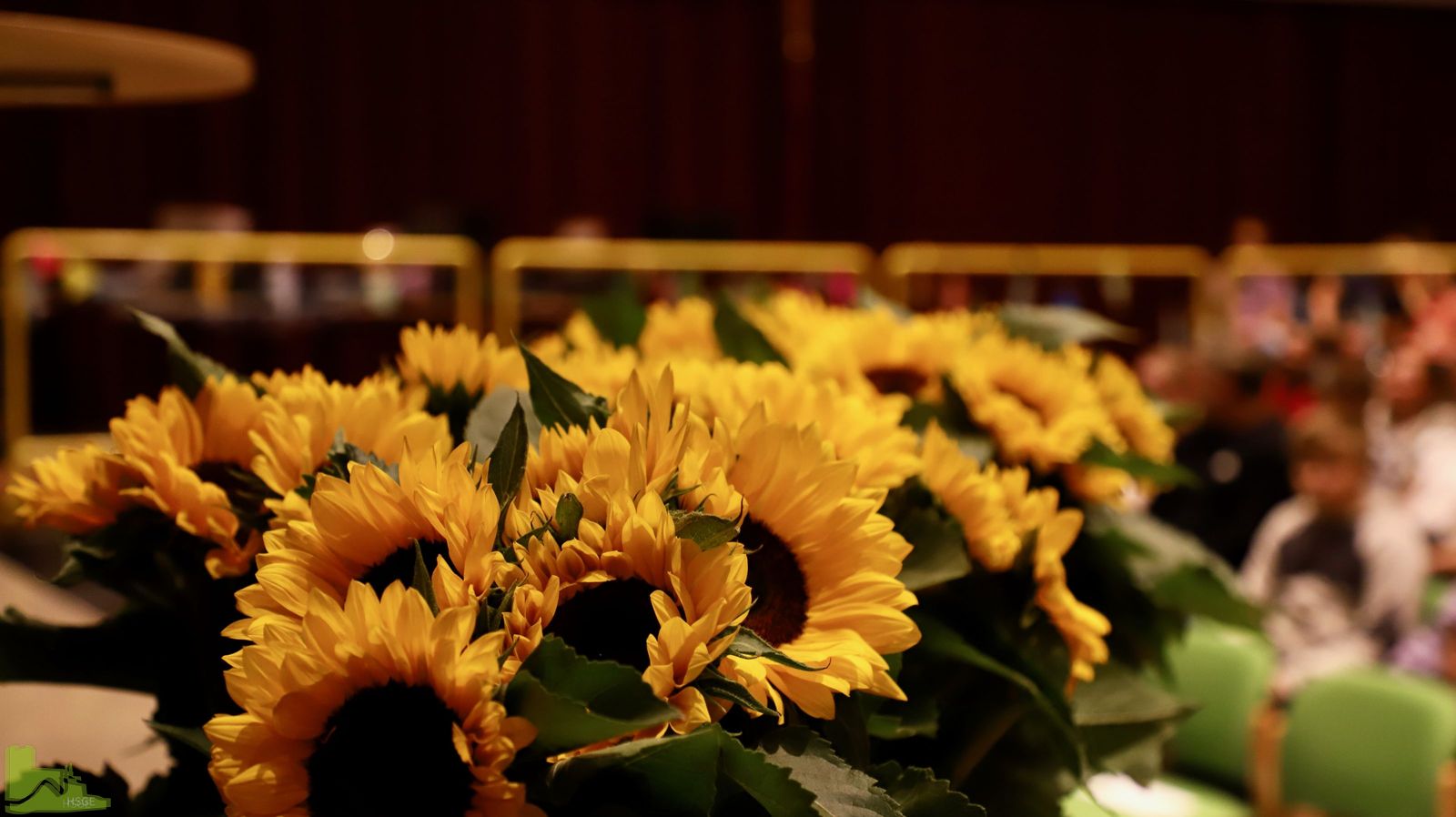 Ein festlicher Start – Einschulungsfeier der neuen 5. Klassen an der Hardenstein-Gesamtschule