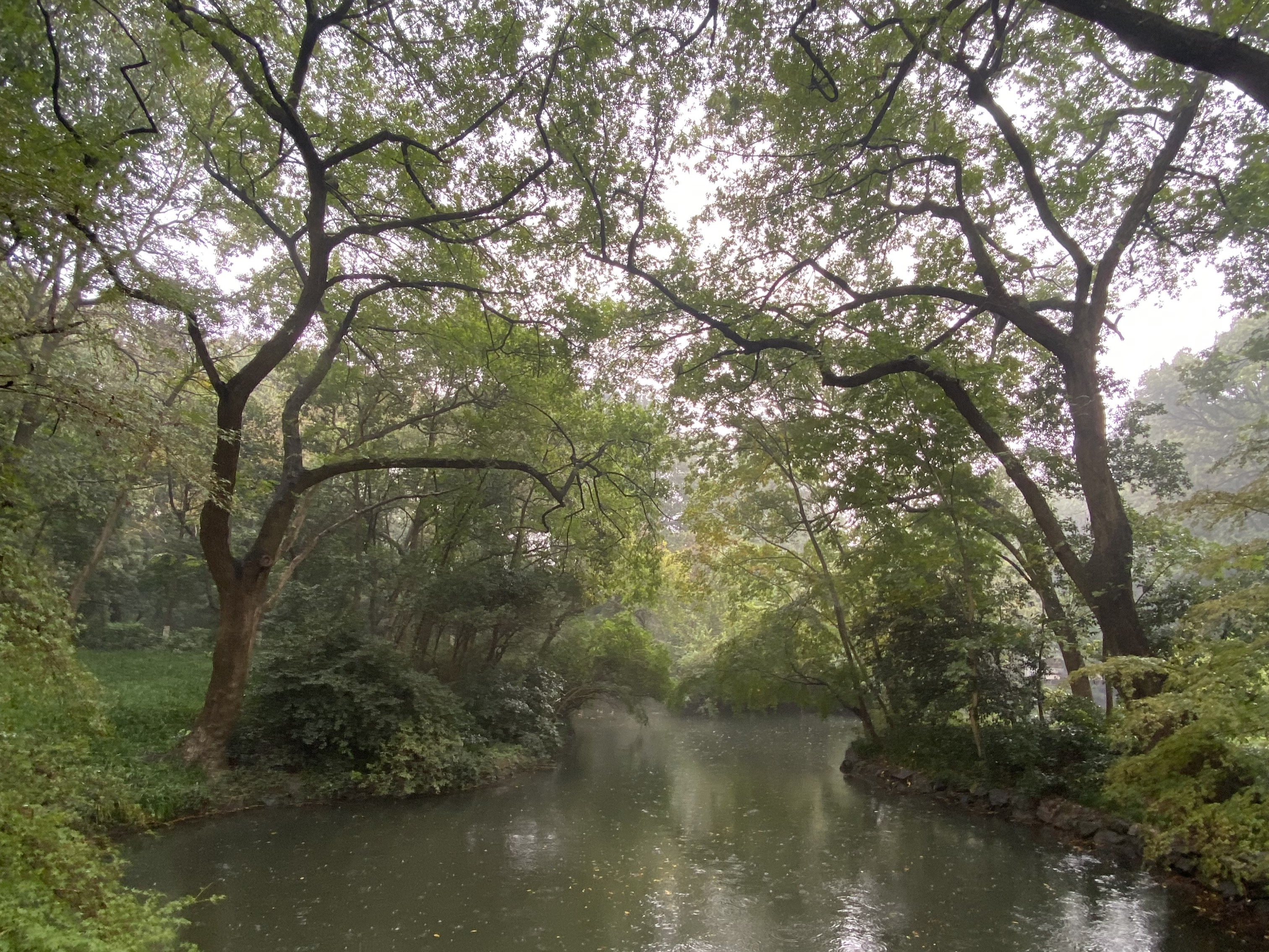 Schüleraustausch der Hardenstein-Gesamtschule: Zwei Wochen zwischen Gastfamilie, Unterricht und Kulturprogramm in China
